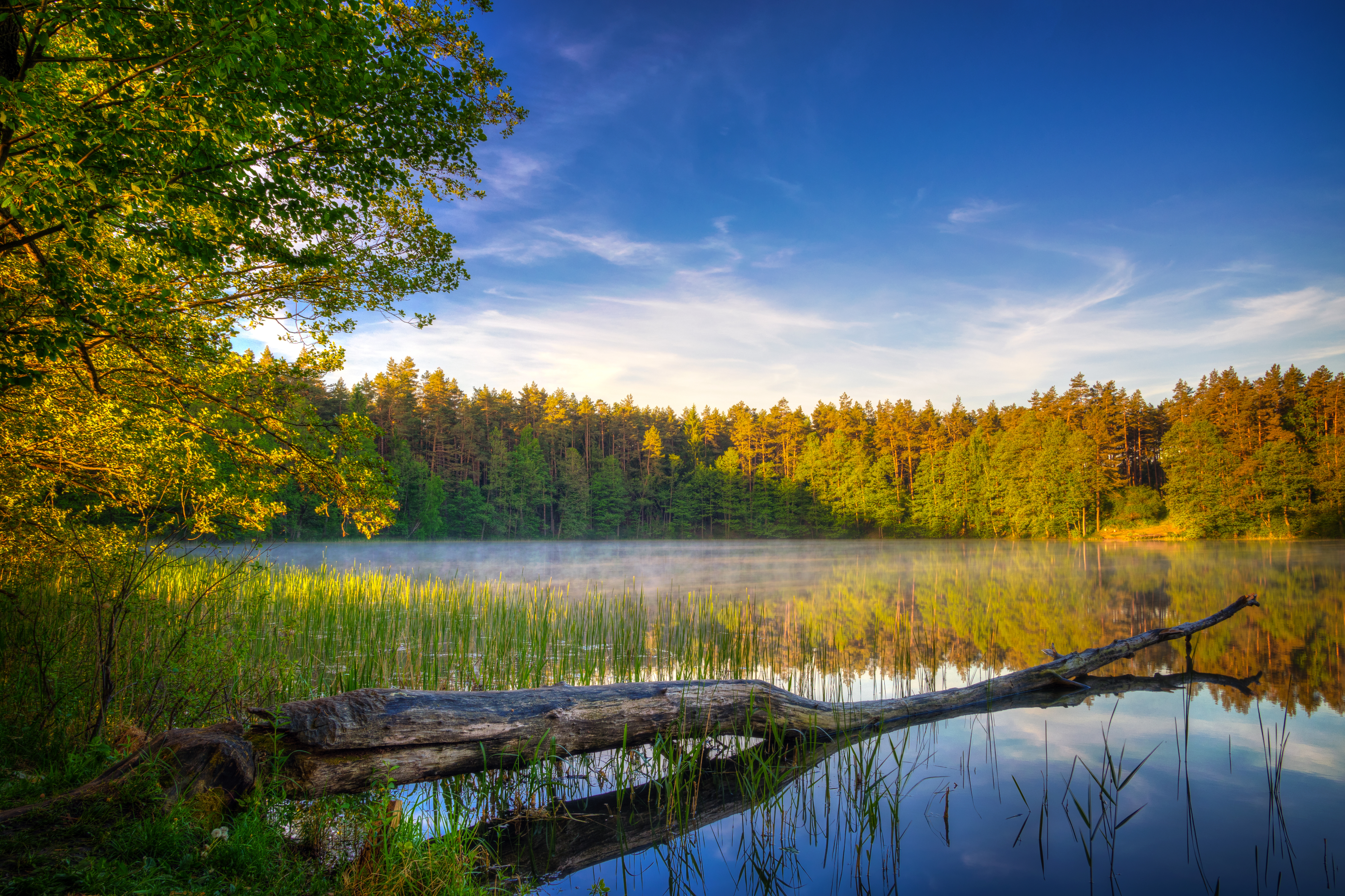 Verliebt in die Masuren & das Naturparadies Masurische Seenplatte